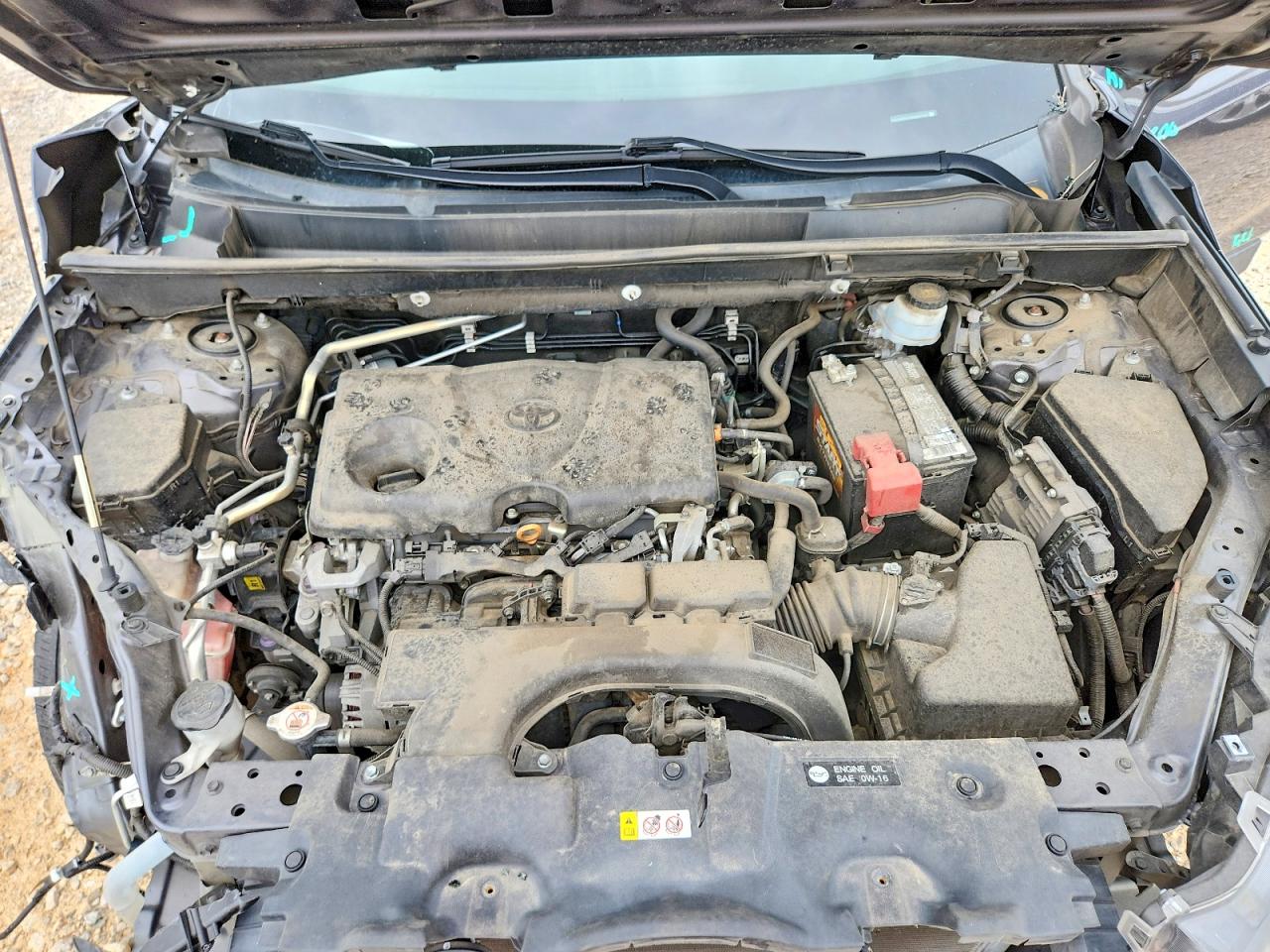 2019 TOYOTA RAV4 photo 12