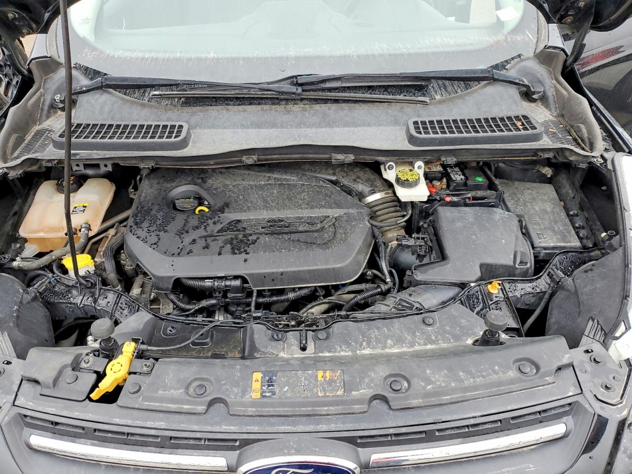 2013 FORD ESCAPE SE photo 23
