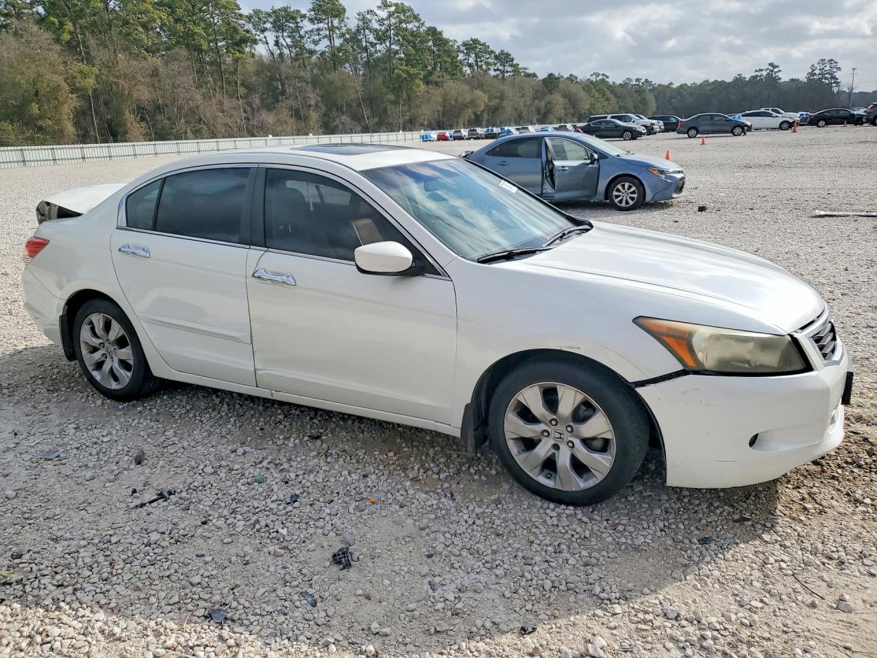 2010 HONDA ACCORD EXL photo 7