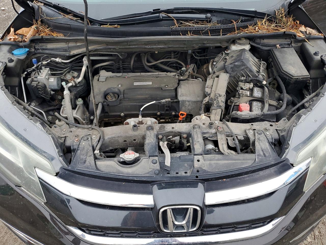 2016 HONDA CR-V EX photo 12