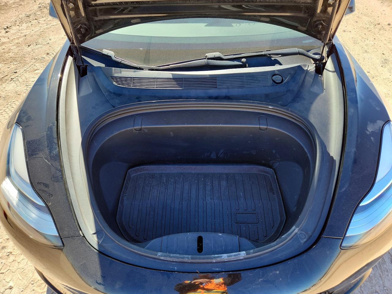 2019 TESLA MODEL 3 photo 11