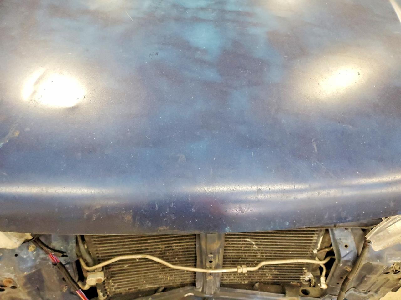 1998 HONDA CR-V EX photo 23