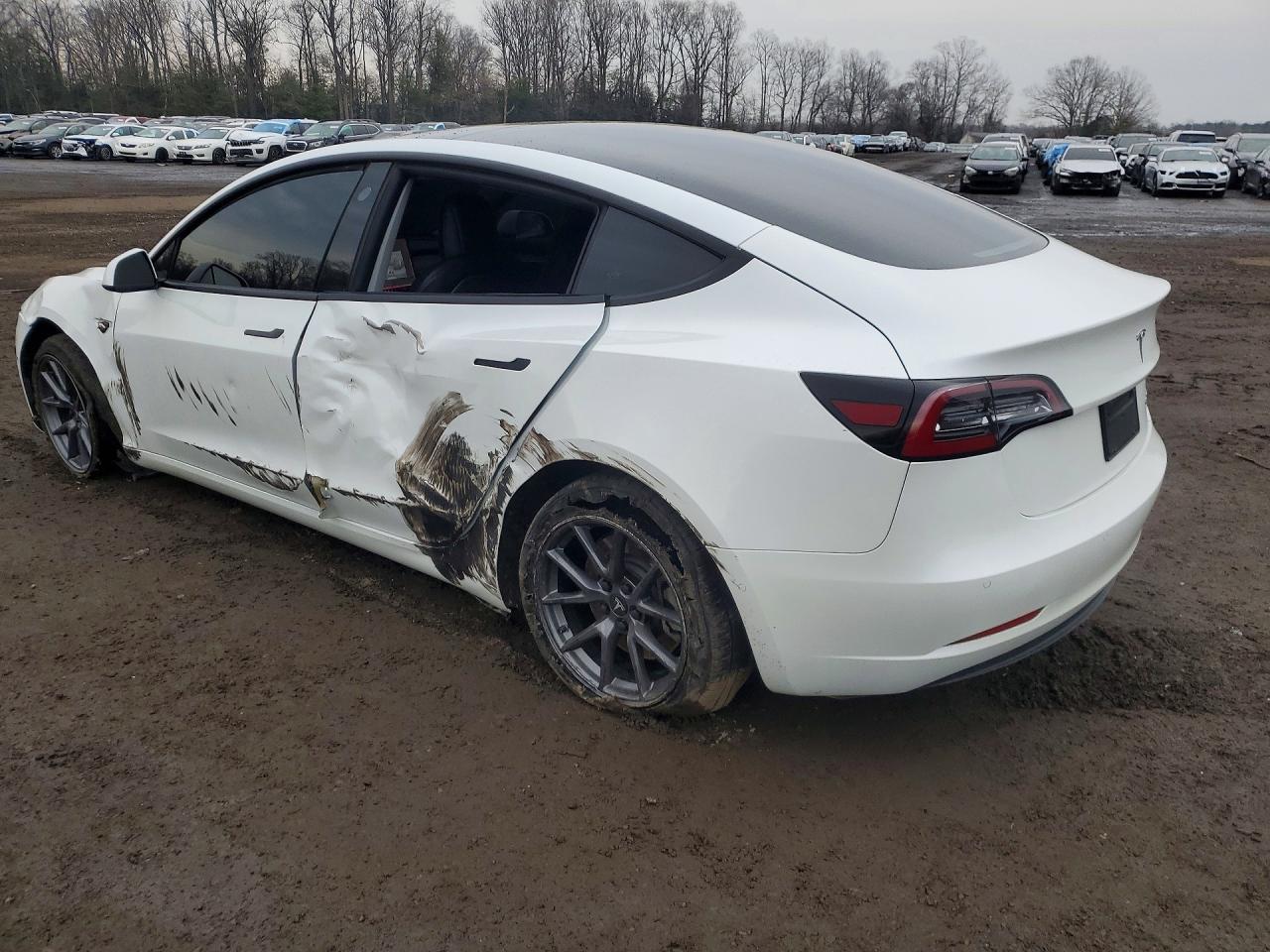 2021 TESLA MODEL 3 photo 3