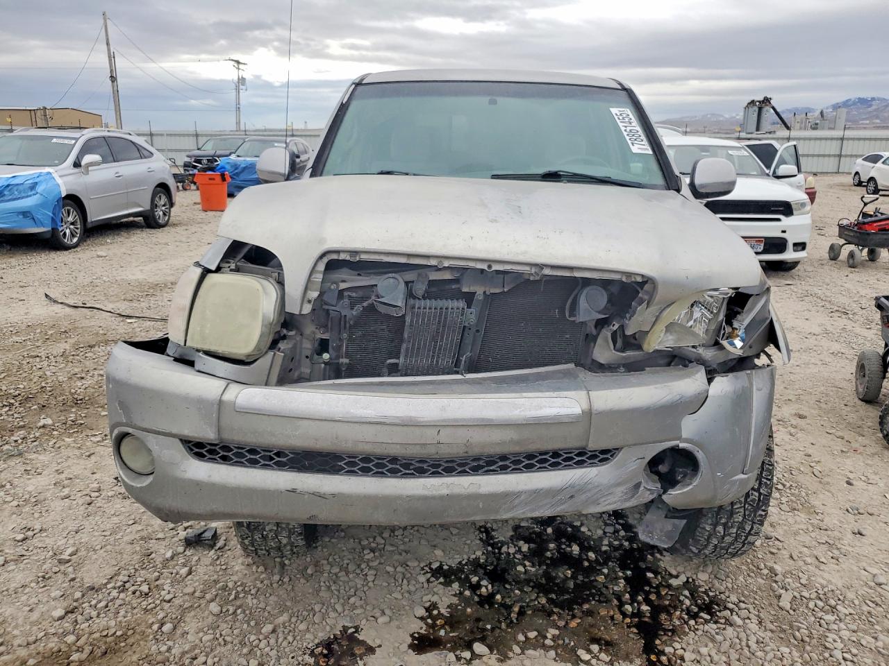 2006 TOYOTA TUNDRA SR5 photo 5
