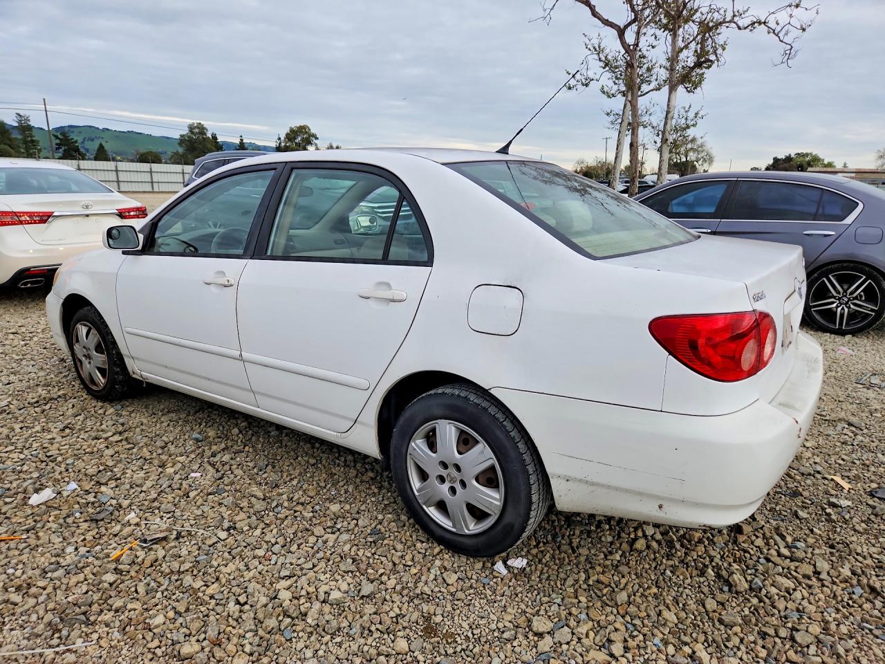 2005 TOYOTA COROLLA LE photo 2