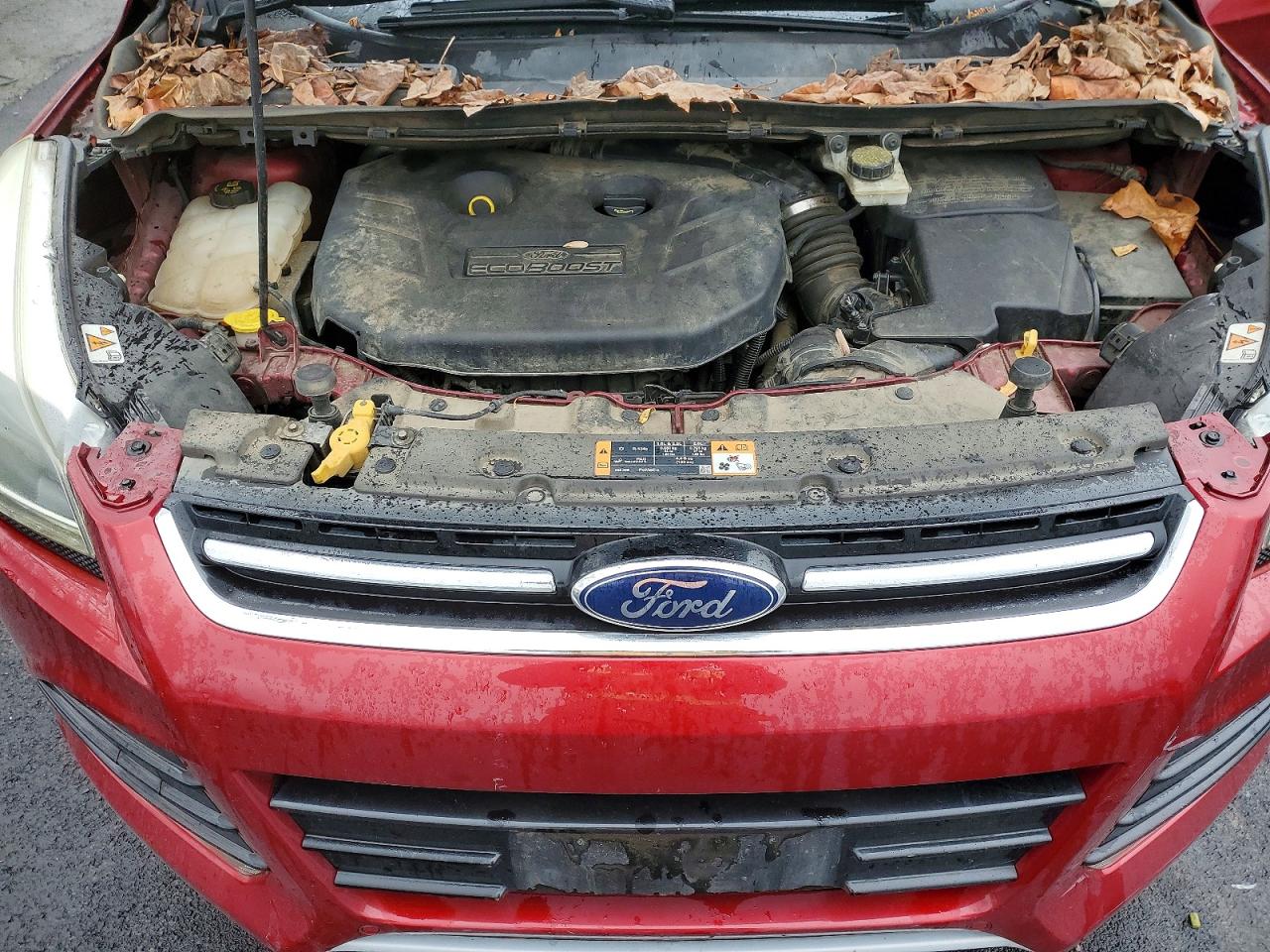 2014 FORD ESCAPE TITANIUM photo 11