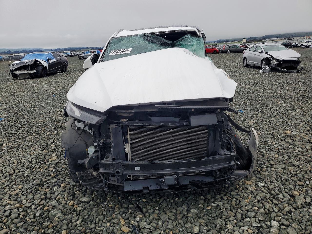 2020 HYUNDAI PALISADE LIMITED photo 13
