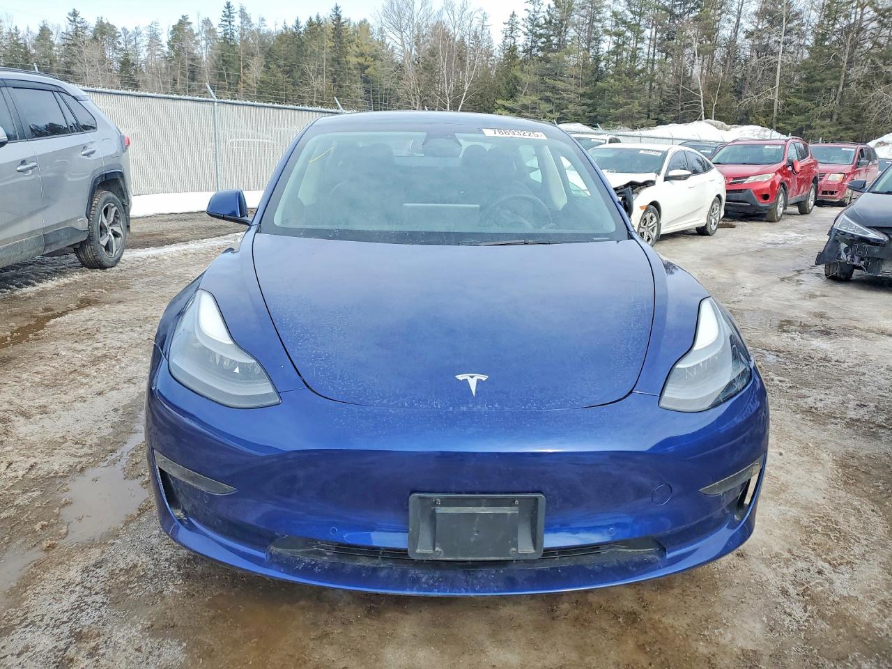 2022 TESLA MODEL 3 photo 5