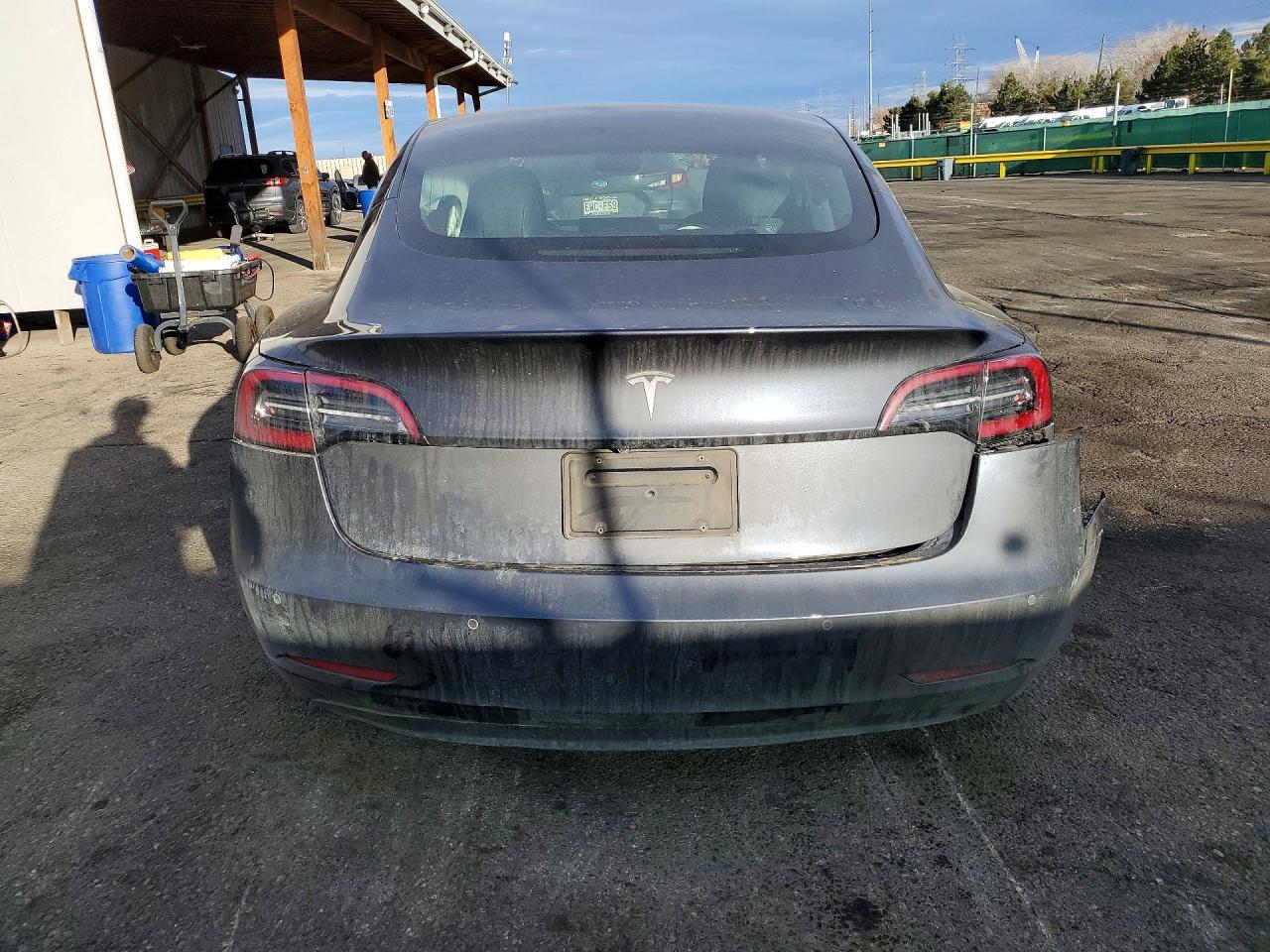 2019 TESLA MODEL 3 photo 6