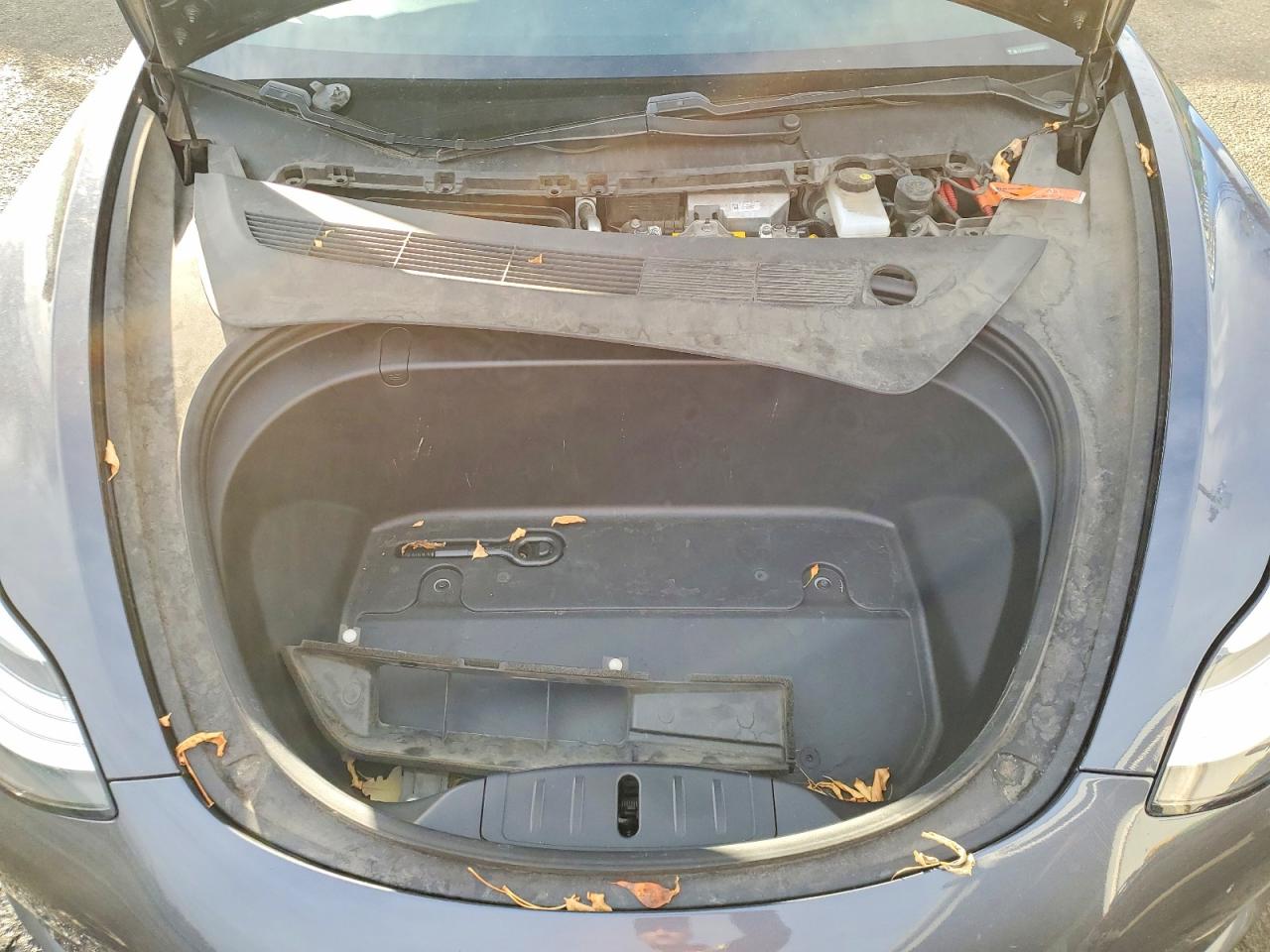 2019 TESLA MODEL 3 photo 11
