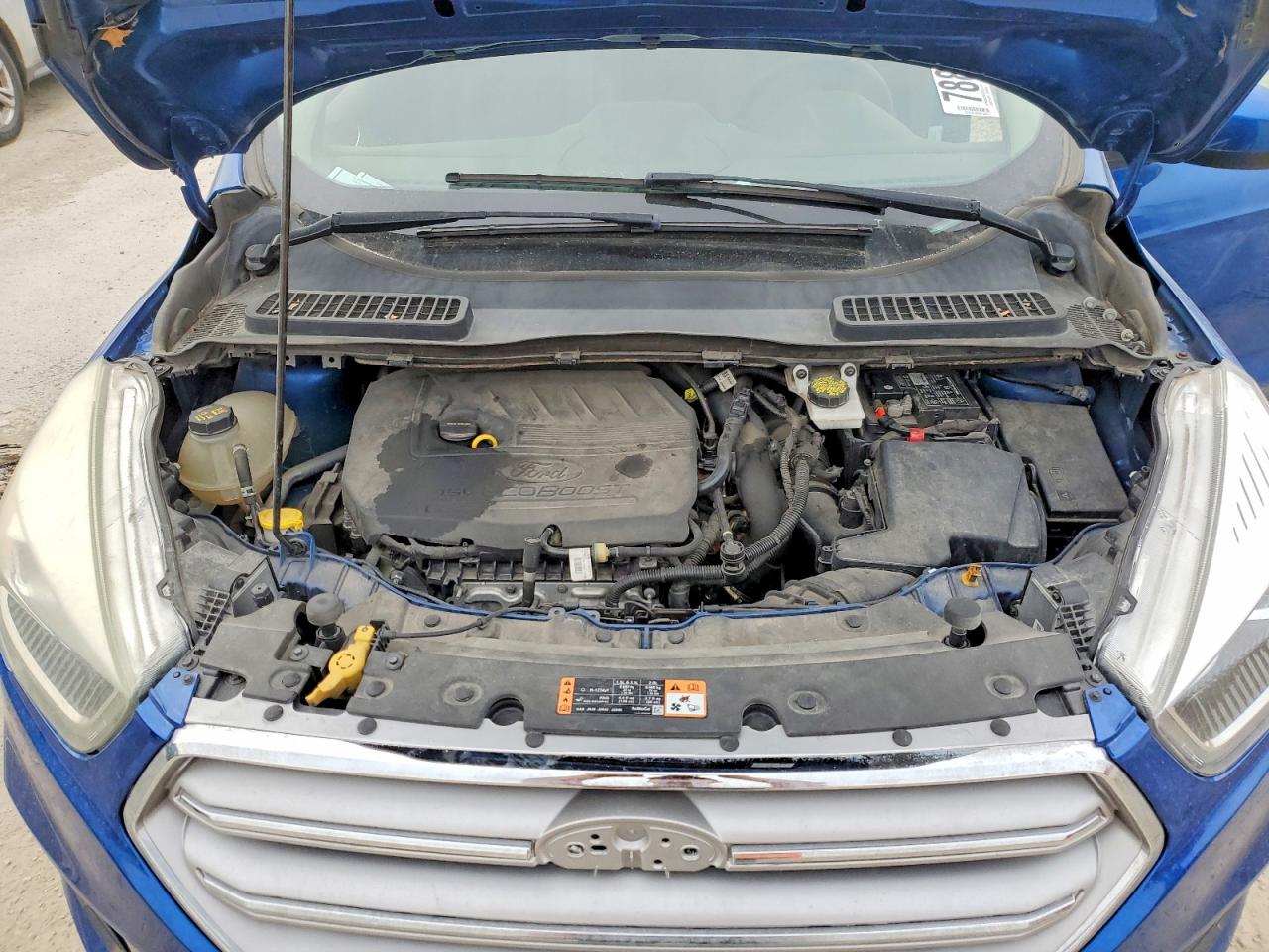 2017 FORD ESCAPE SE photo 12