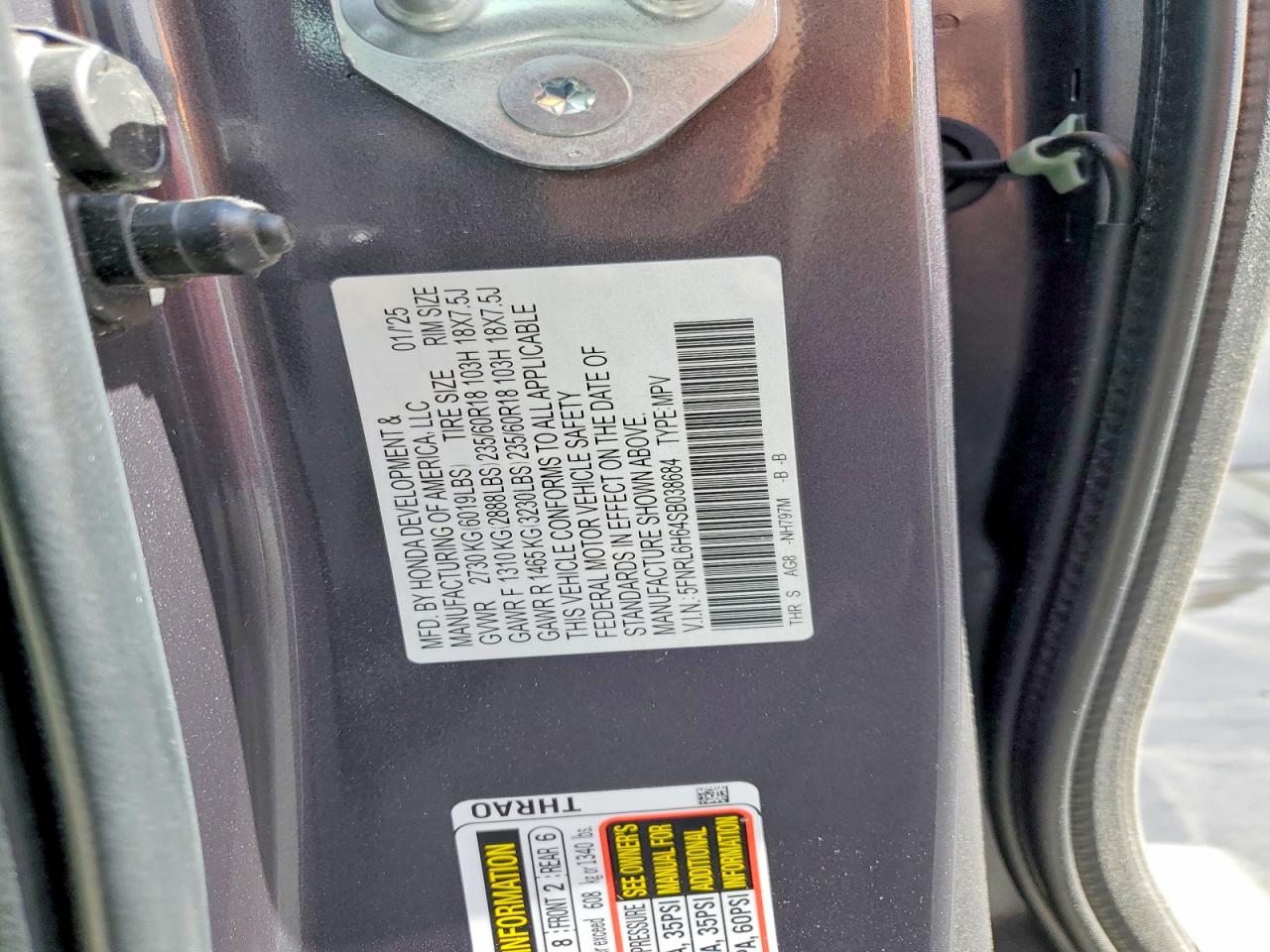 2025 HONDA ODYSSEY EXL photo 13
