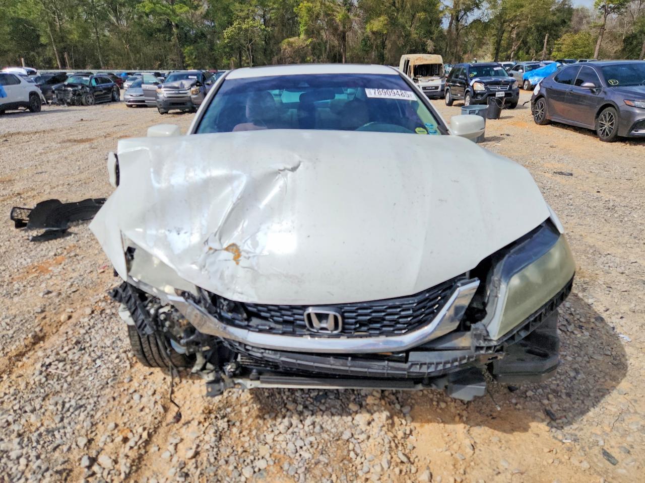 2013 HONDA ACCORD EXL photo 5