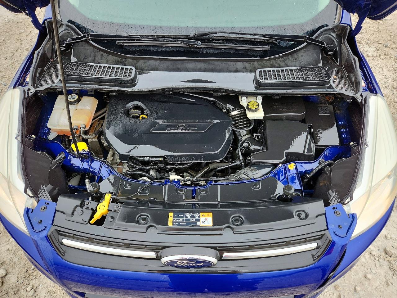 2014 FORD ESCAPE SE photo 12