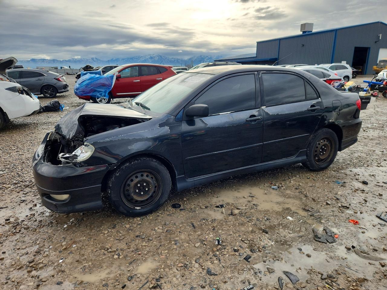 2006 TOYOTA COROLLA