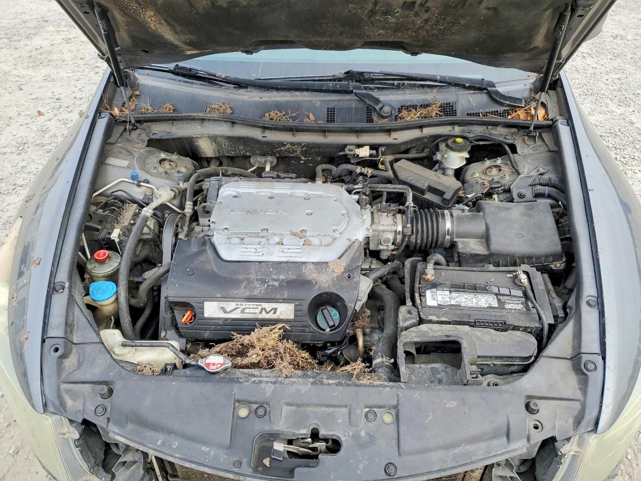 2010 HONDA ACCORD EXL photo 11