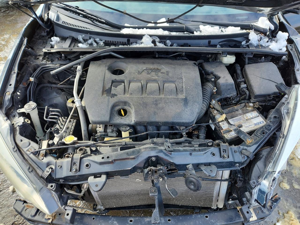 2014 TOYOTA COROLLA LE photo 11