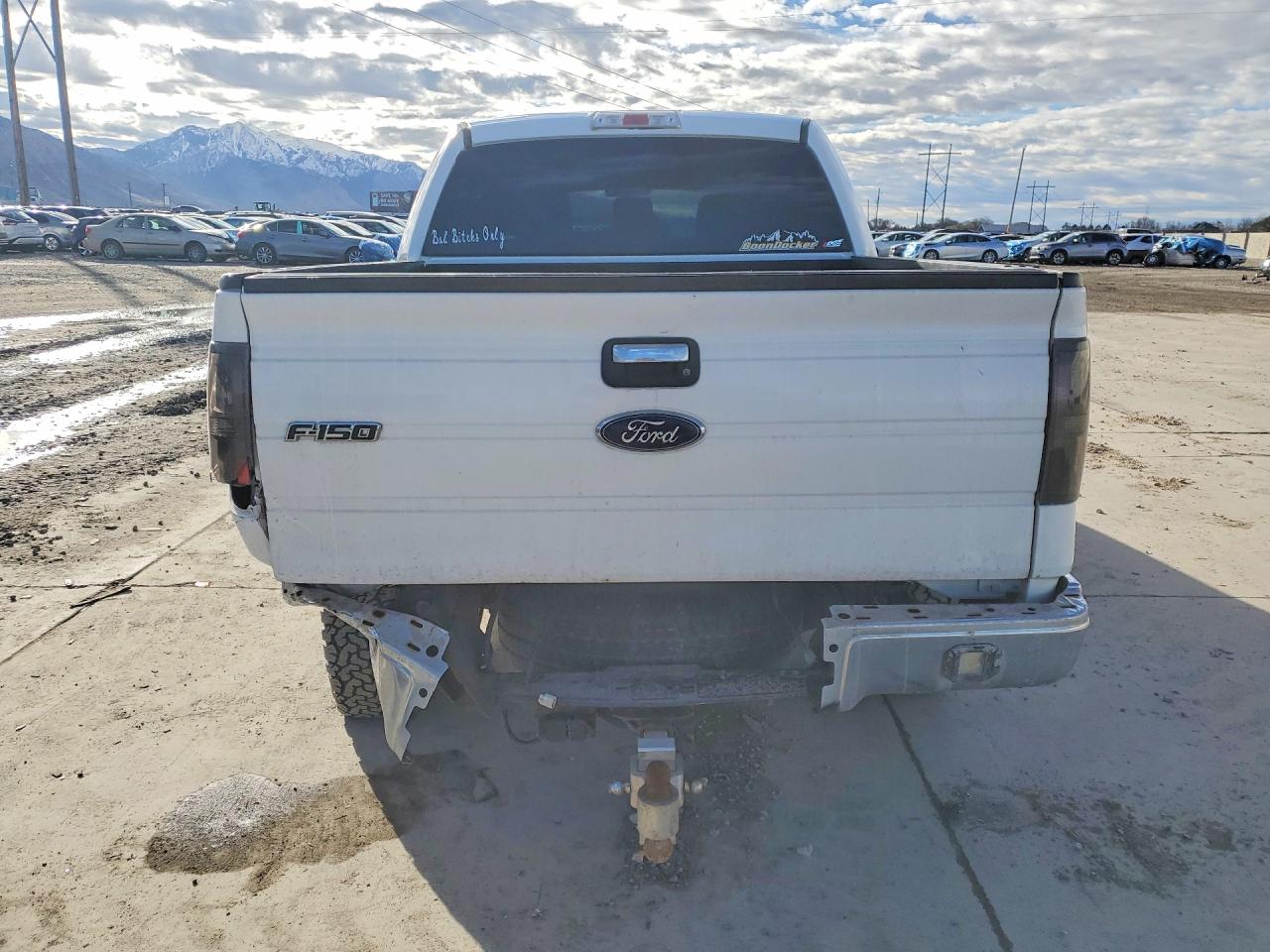 2013 FORD F150 SUPERCREW photo 6