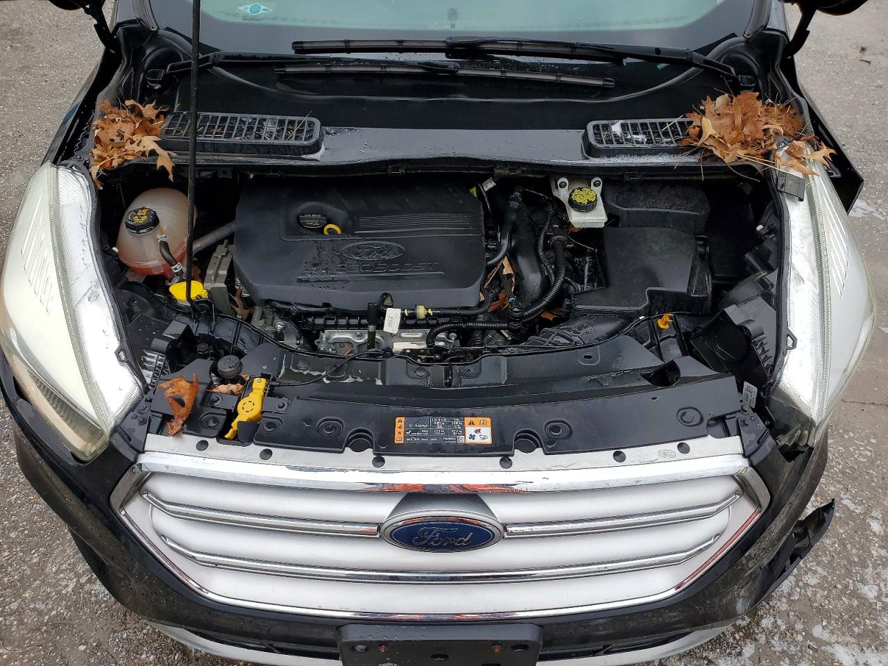 2017 FORD ESCAPE SE photo 23