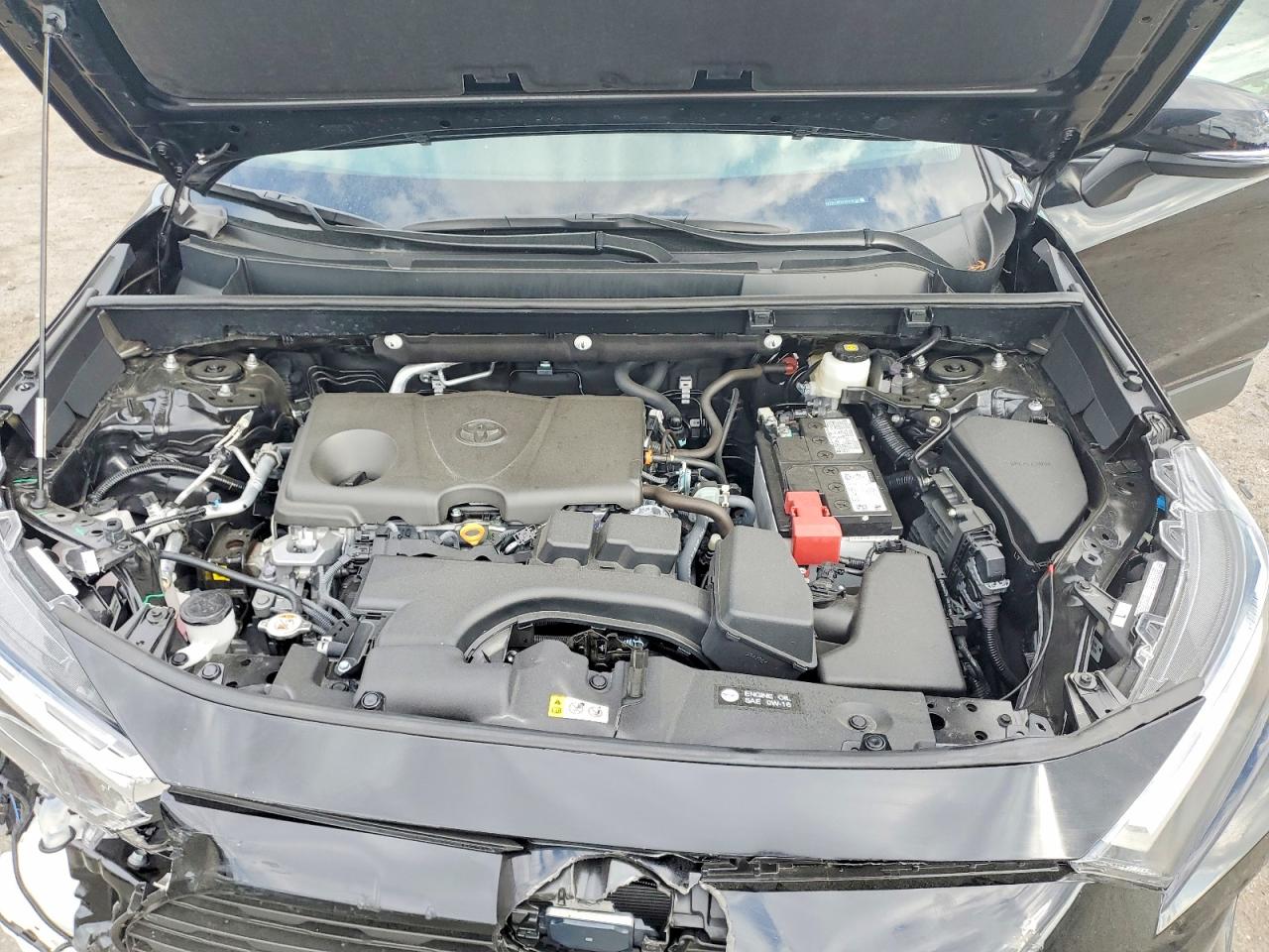 2025 TOYOTA RAV4 XLE photo 12