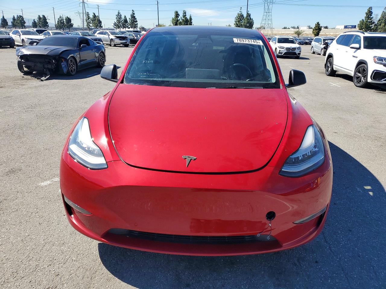 2021 TESLA MODEL Y photo 5