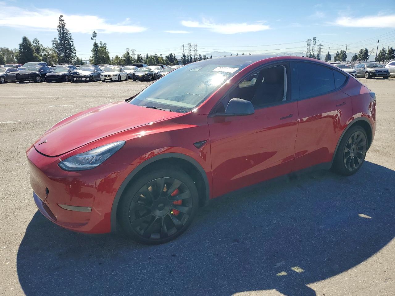 2021 TESLA MODEL Y