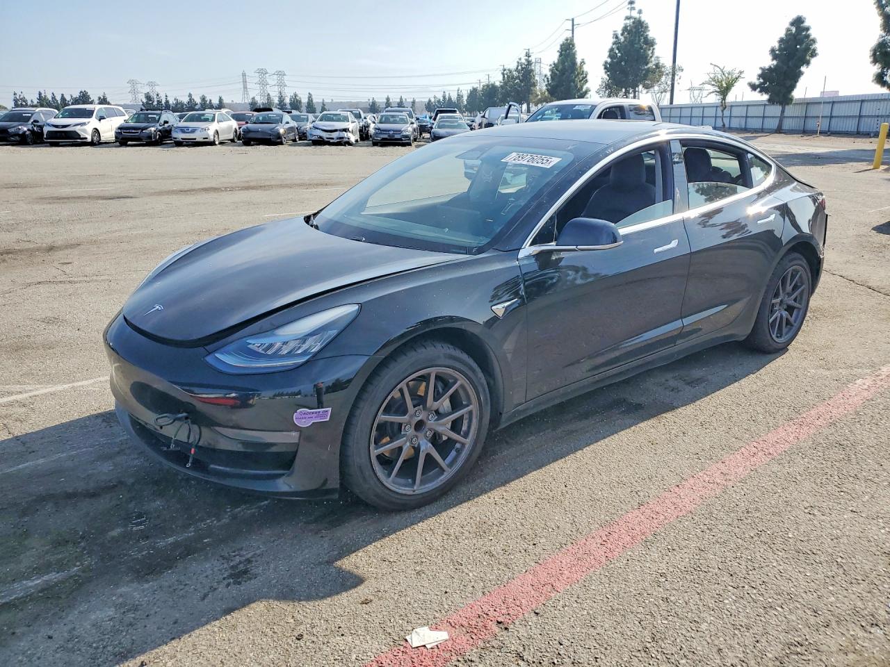 2019 TESLA MODEL 3