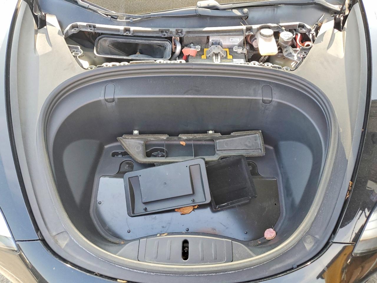 2019 TESLA MODEL 3 photo 21