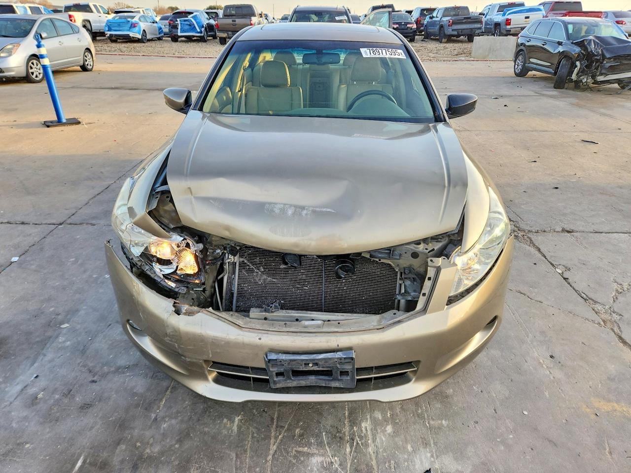 2010 HONDA ACCORD EXL photo 9