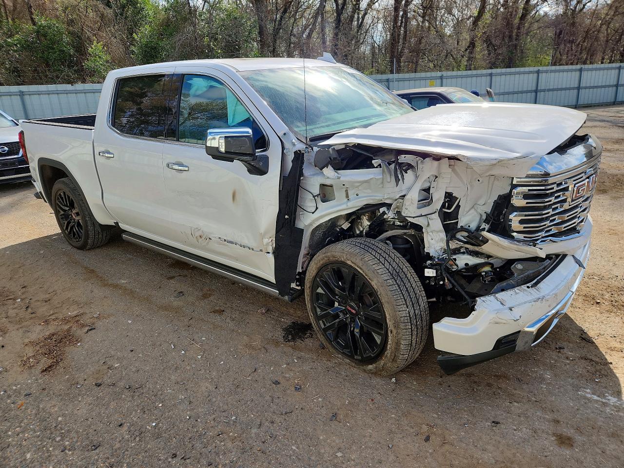 2025 GMC SIERRA K1500 DENALI photo 10