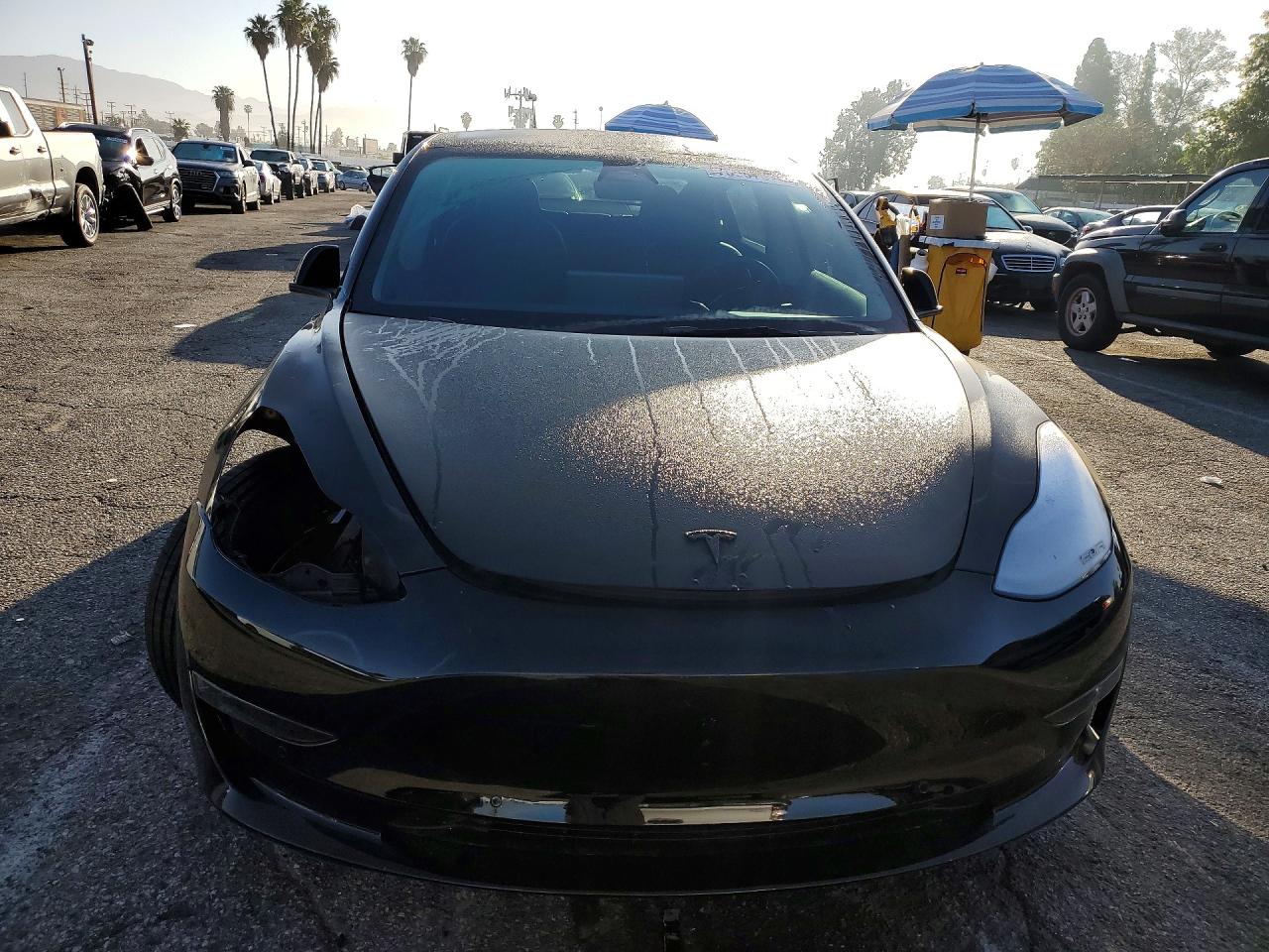 2022 TESLA MODEL 3 photo 9