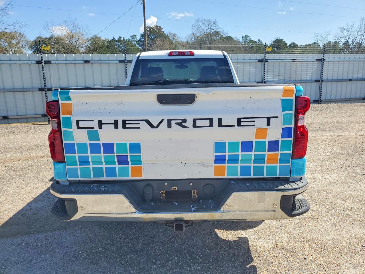 2019 CHEVROLET SILVERADO C1500 photo 6