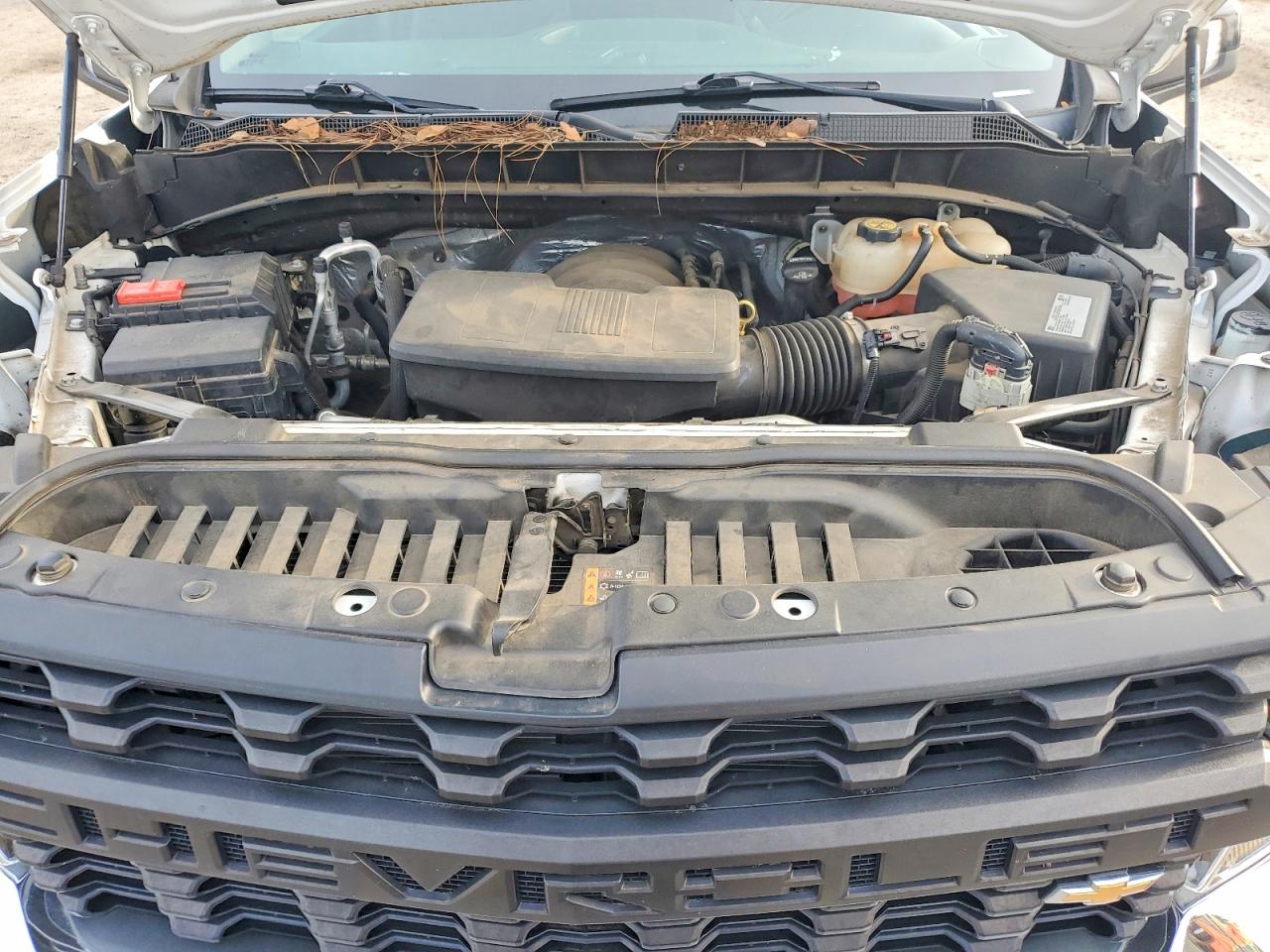 2019 CHEVROLET SILVERADO C1500 photo 11