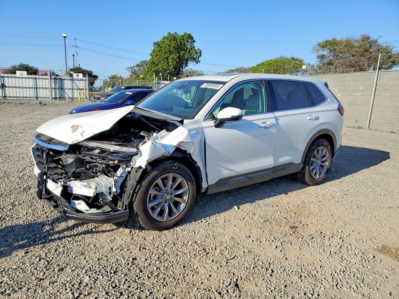 2024 HONDA CR-V