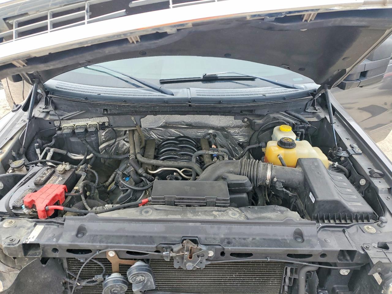 2014 FORD F150 photo 21