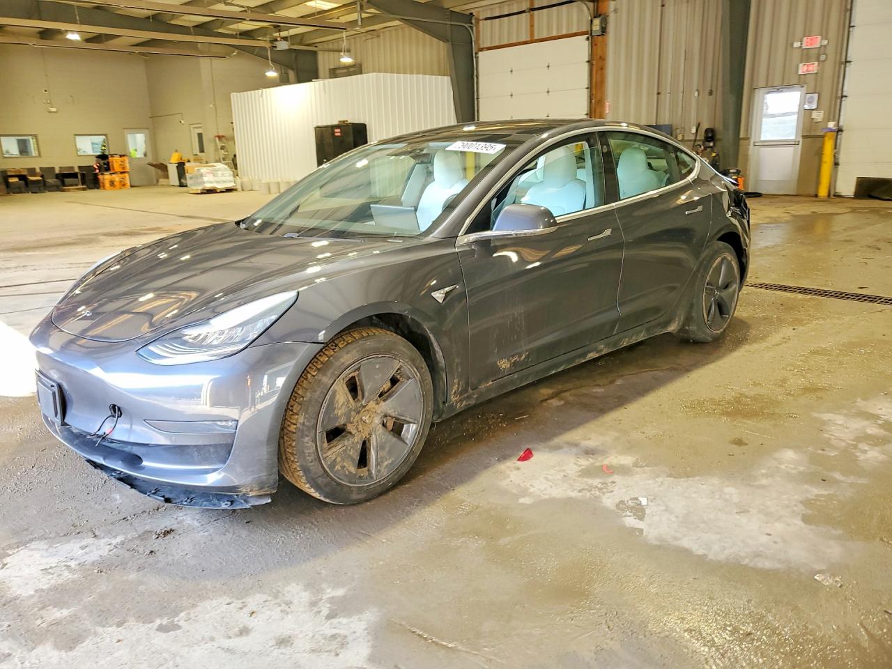2019 TESLA MODEL 3