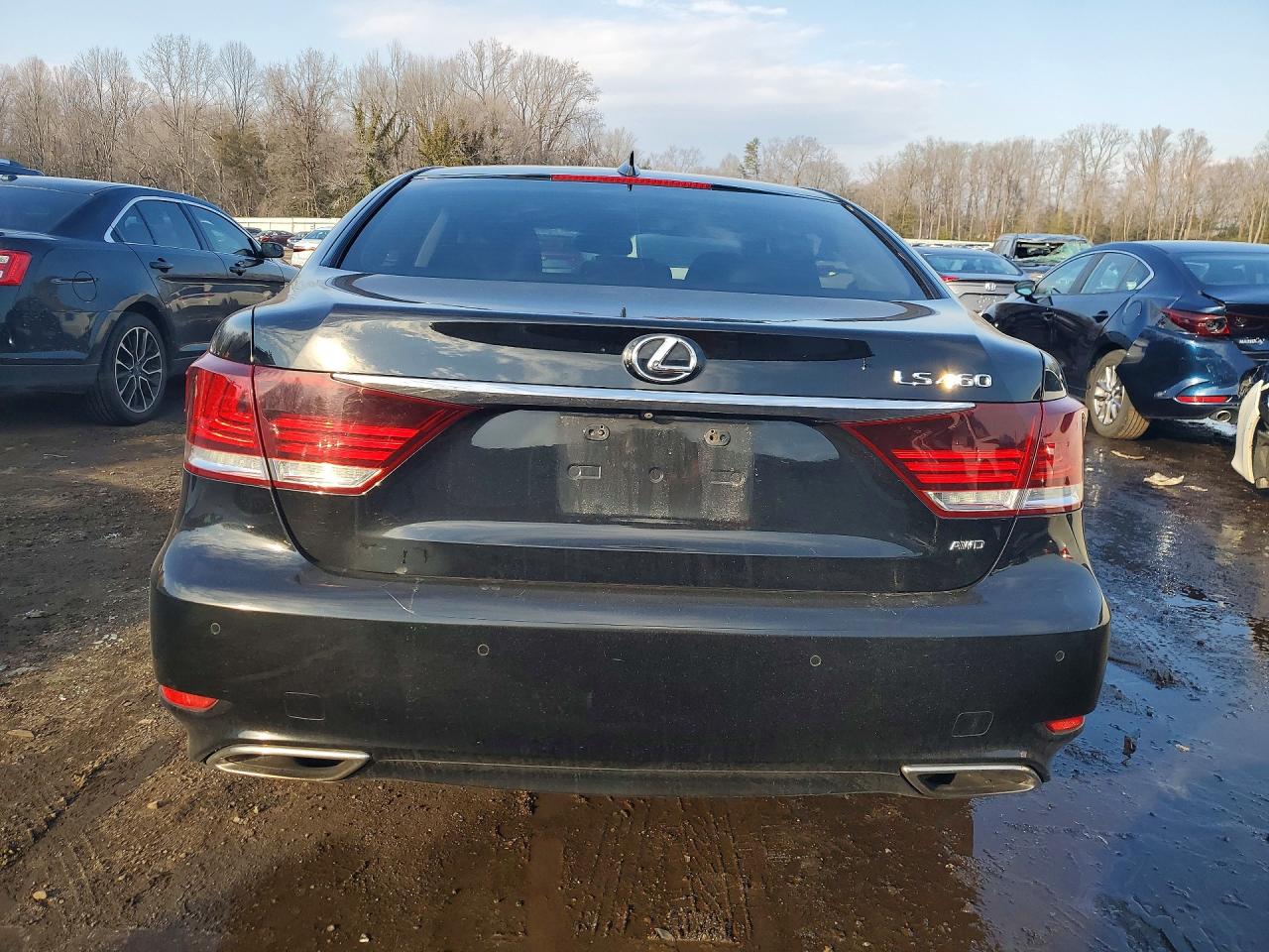 2015 LEXUS LS 460 photo 6
