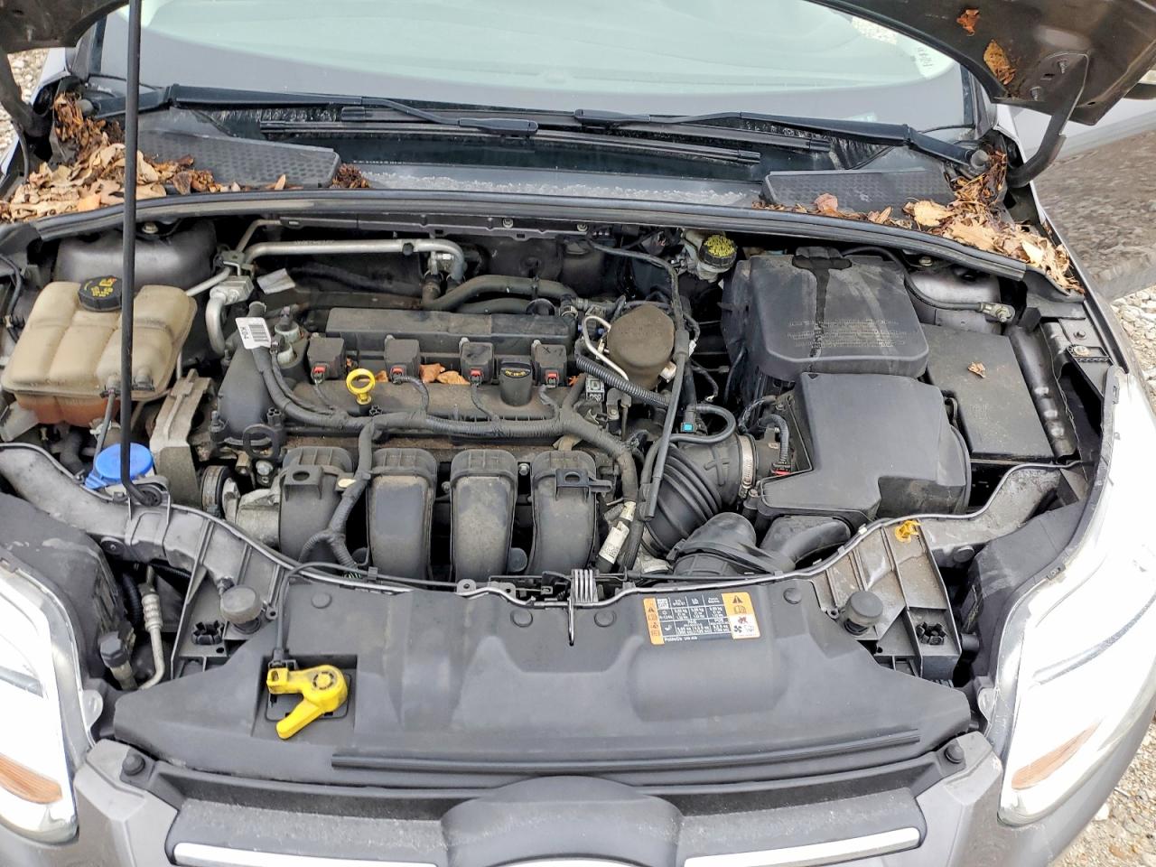 2014 FORD FOCUS SE photo 21