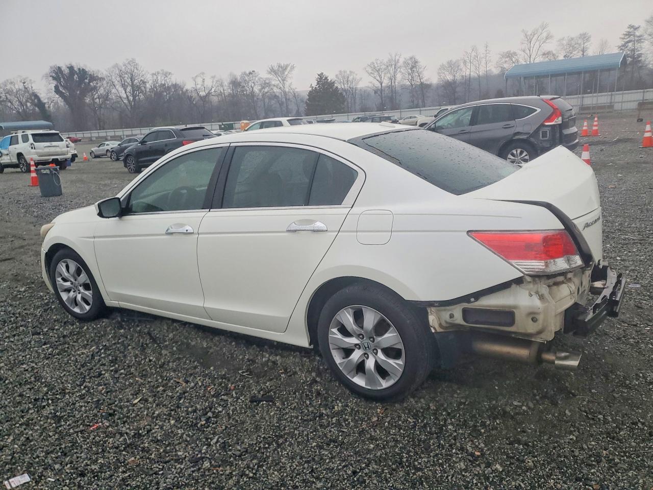 2010 HONDA ACCORD photo 3
