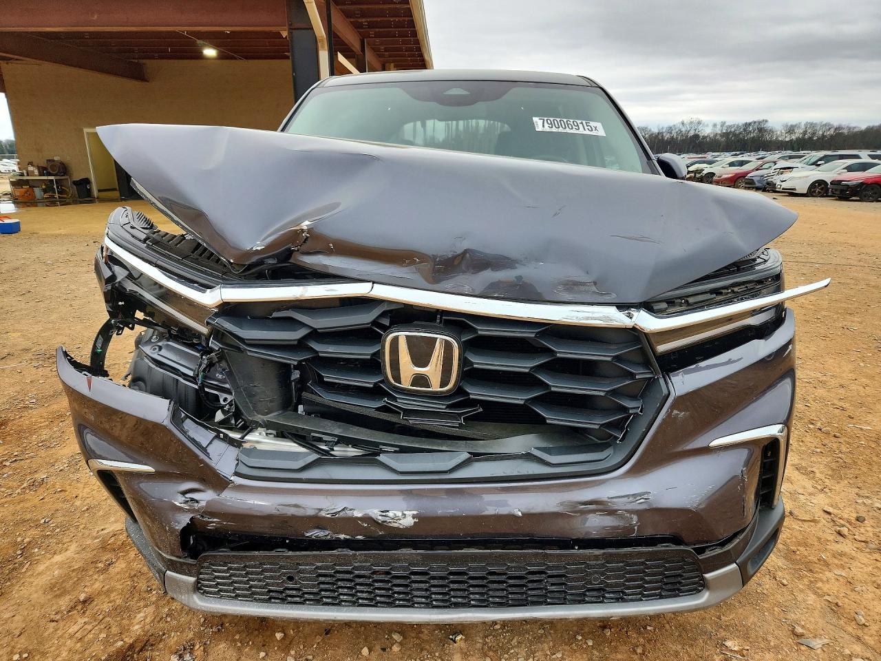 2025 HONDA PILOT EXL photo 13