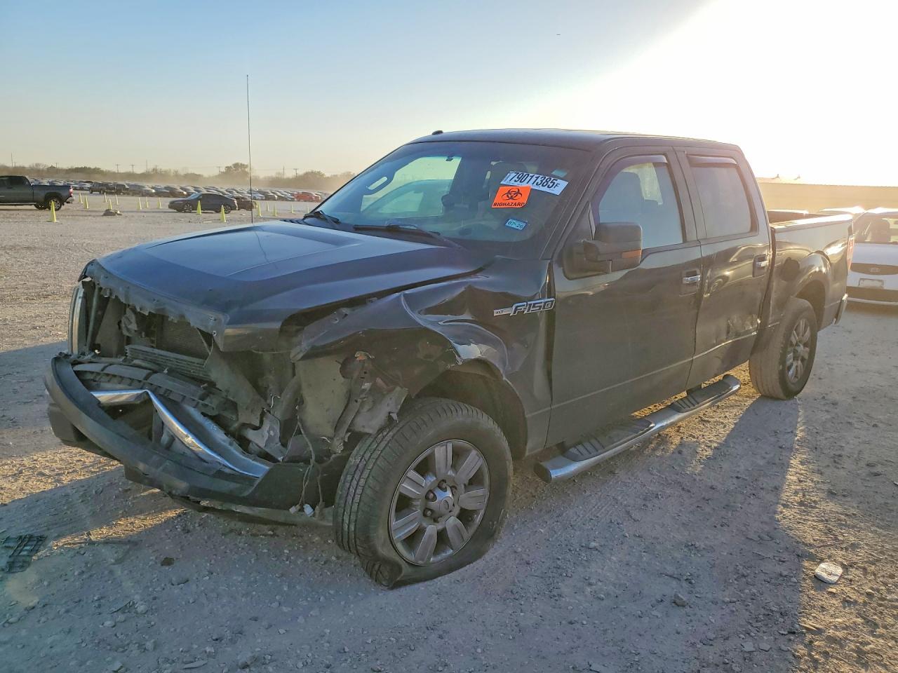 2010 FORD F150