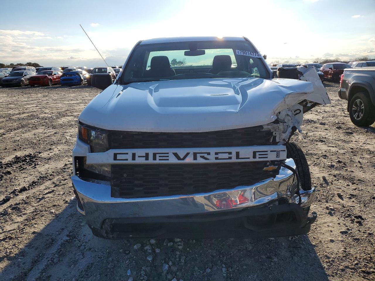 2020 CHEVROLET SILVERADO C1500 photo 13