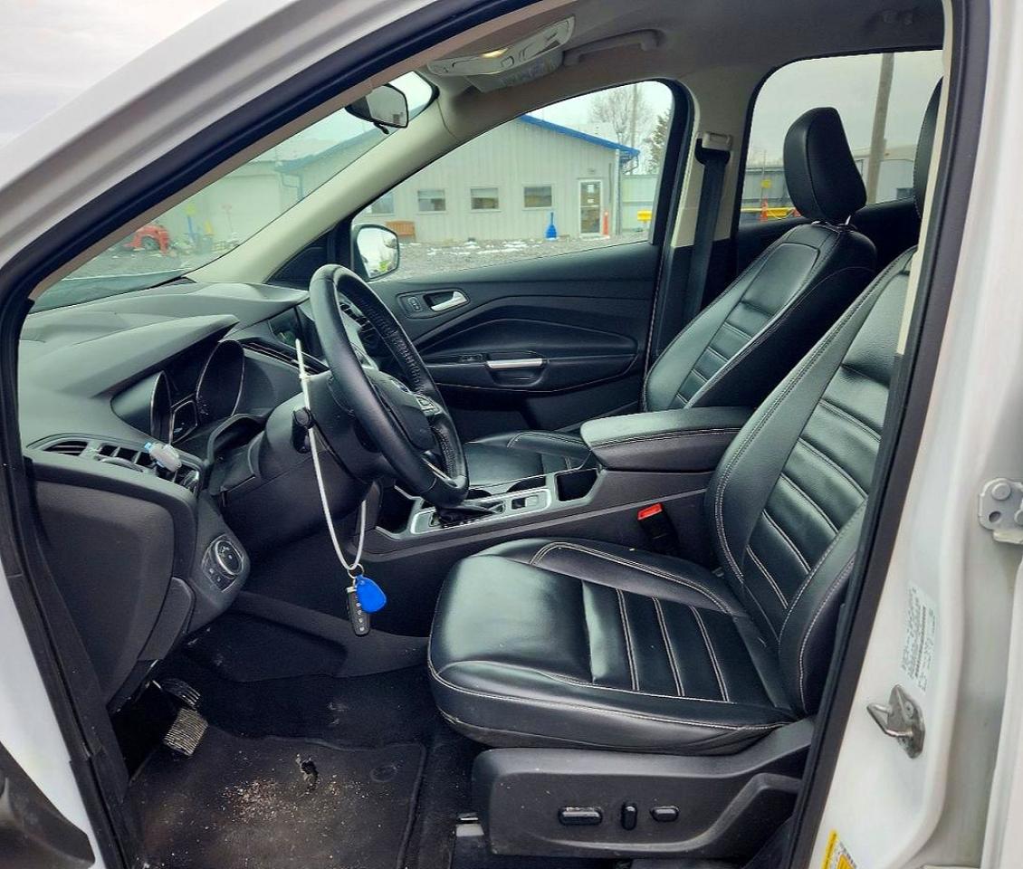 2019 FORD ESCAPE SEL photo 7