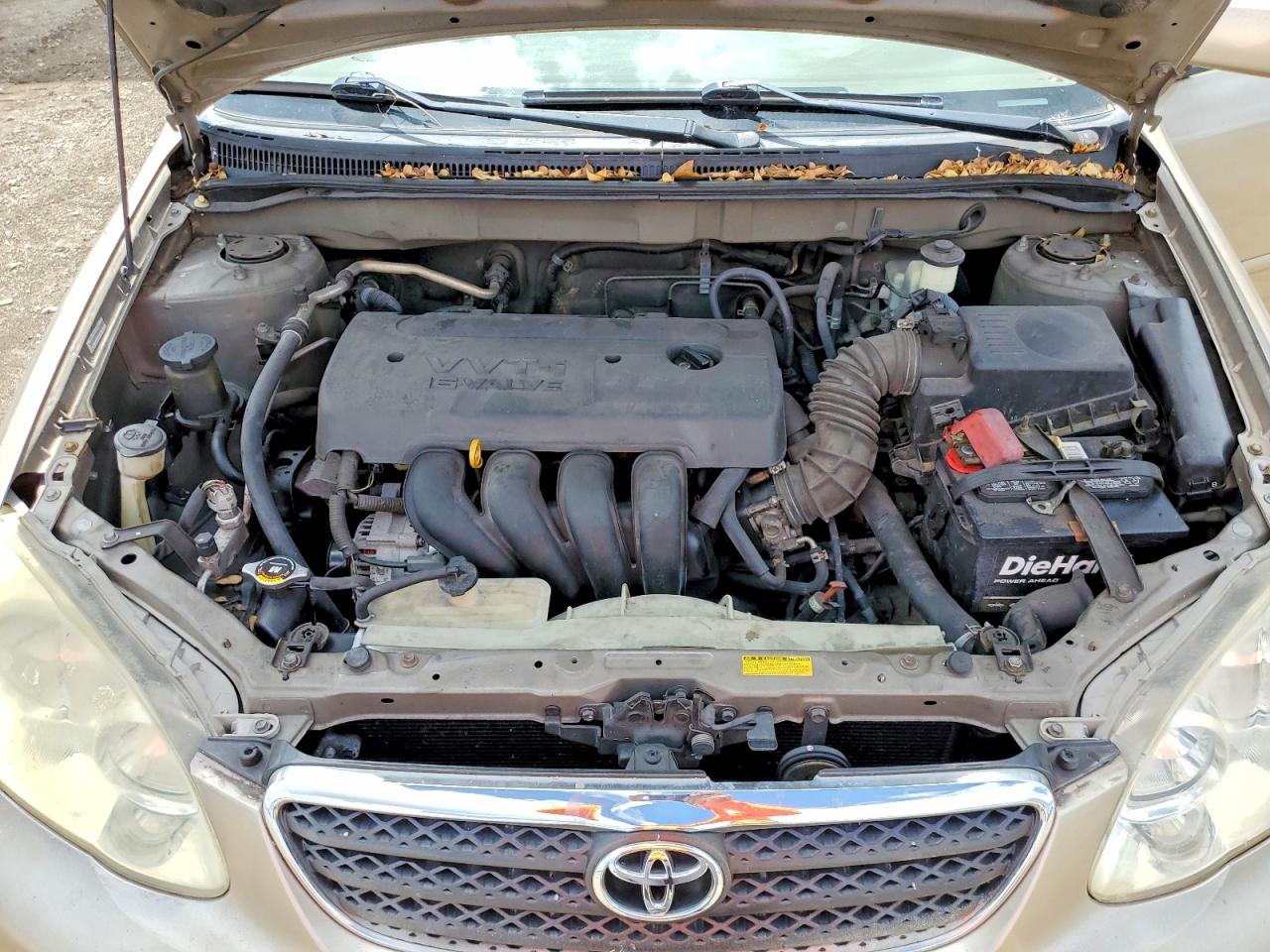 2006 TOYOTA COROLLA LE photo 11
