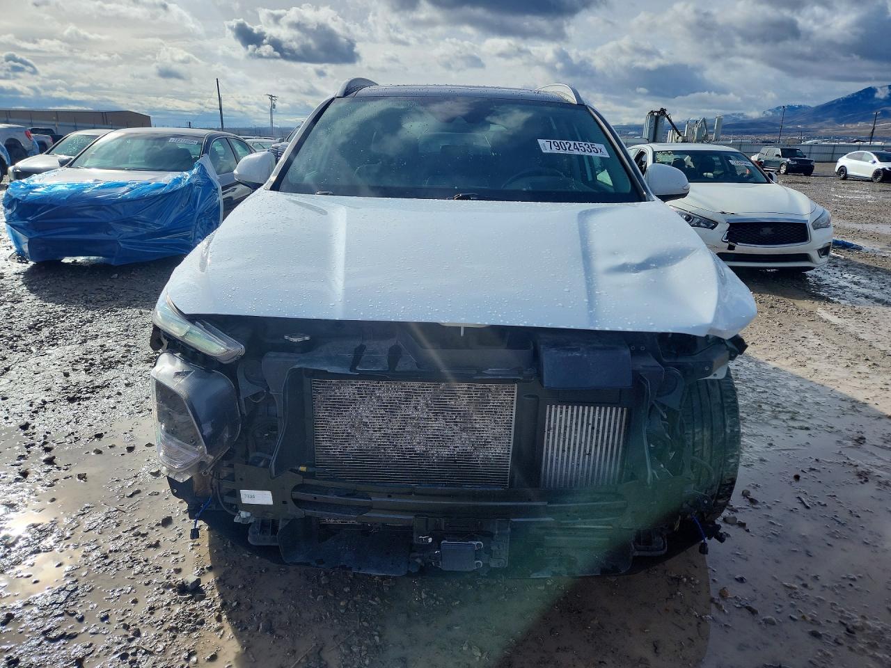 2019 HYUNDAI SANTA FE ULTIMATE 2.0T photo 13