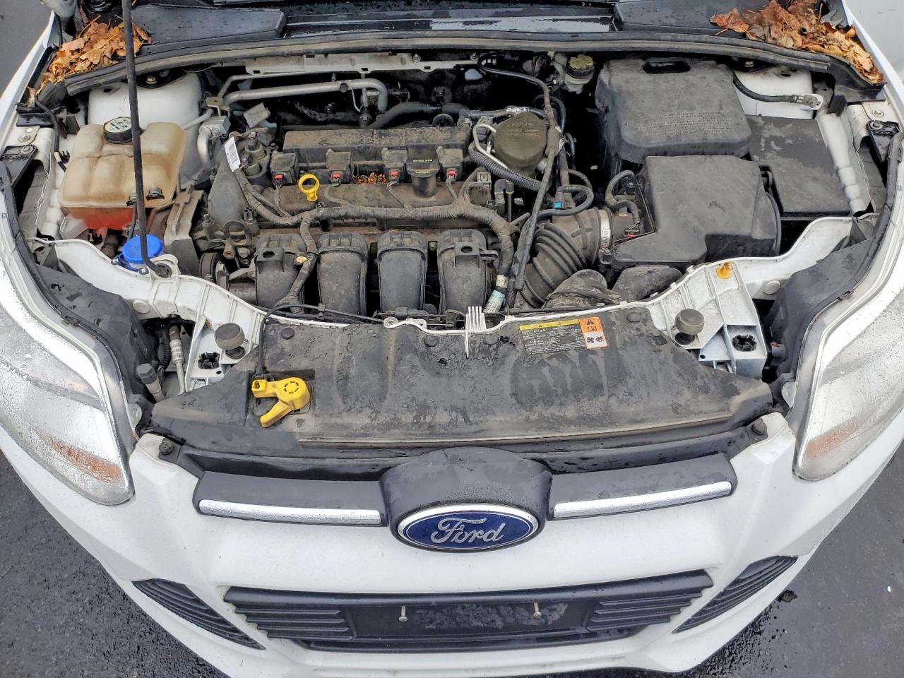 2013 FORD FOCUS SE photo 21