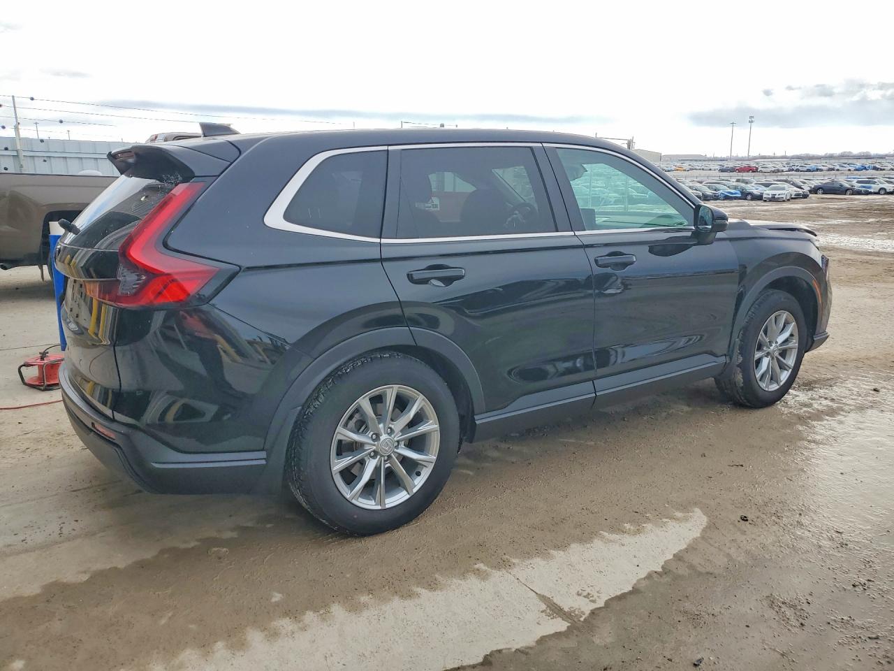 2025 HONDA CR-V EX photo 5