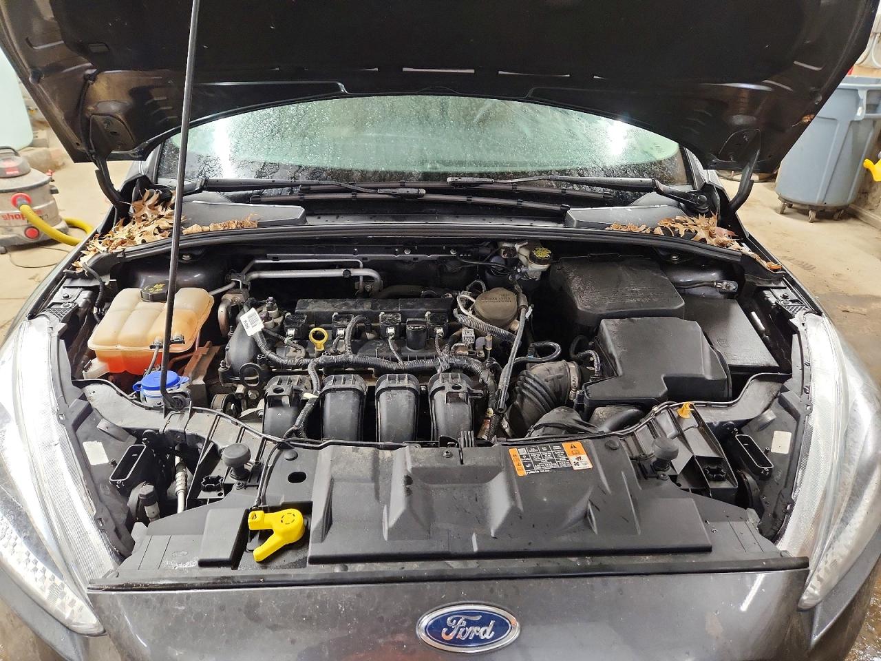 2015 FORD FOCUS SE photo 11