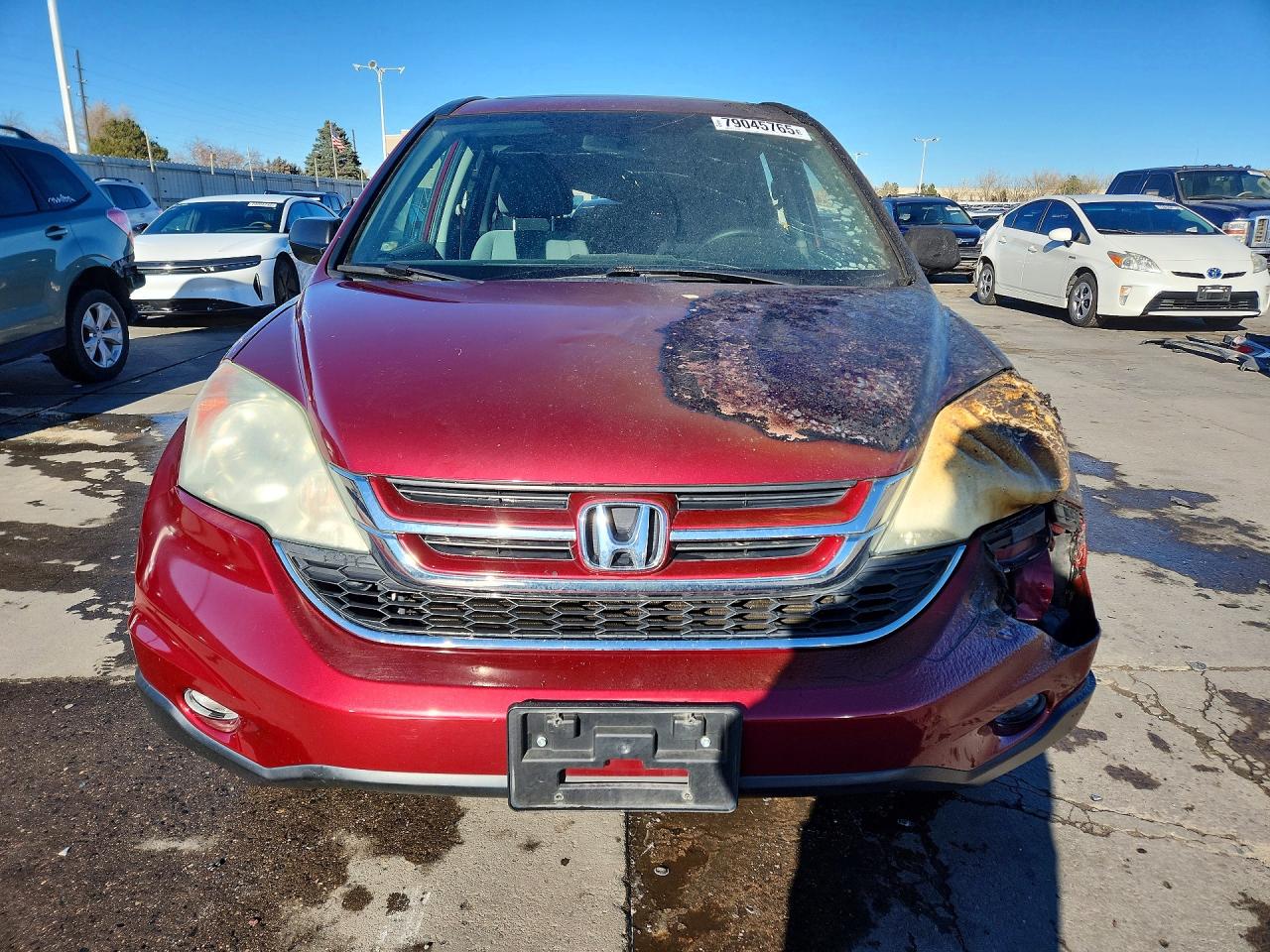 2010 HONDA CR-V EX photo 5