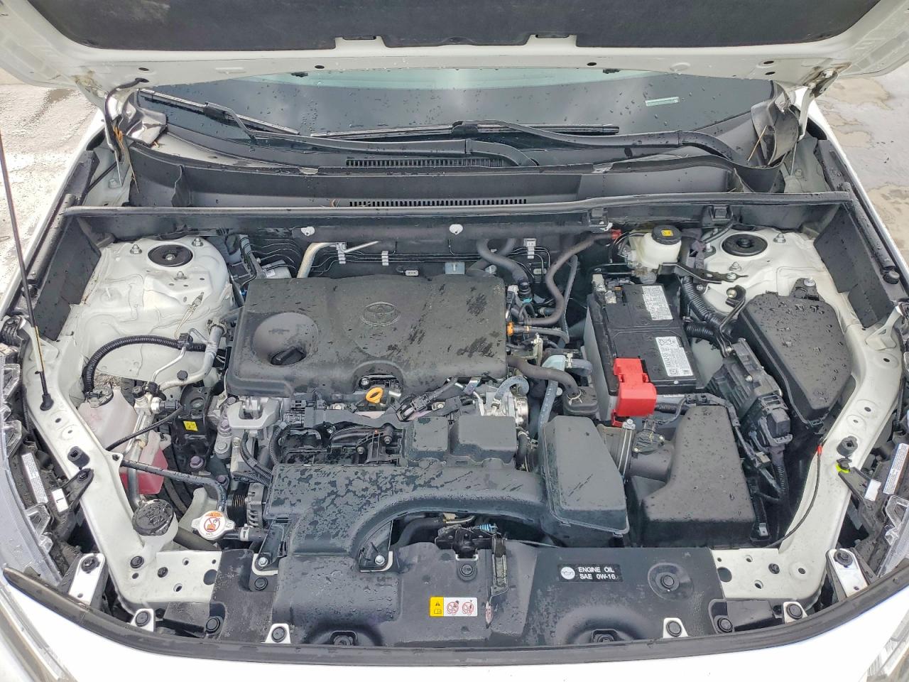 2024 TOYOTA RAV4 LE photo 12